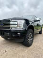 Used 2020 Ford F150 Platinum w/ Equipment Group 701A Luxury image 2