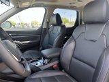 New 2025 Kia Telluride S image 6