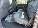 New 2025 Ford F150 STX w/ STX Black Appearance Package image 5