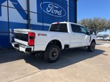 New 2025 Ford F250 Platinum image 6