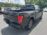 Used 2015 Ford F150 4x4 SuperCrew image 6
