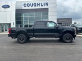 New 2025 Ford F250 Platinum image 5