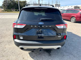 Used 2020 Ford Escape SEL image 4