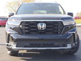 New 2025 Honda Pilot Elite image 4