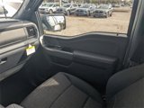 New 2025 Ford F150 XLT w/ Equipment Group 302A MID image 6