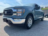 Used 2023 Ford F150 XLT w/ Equipment Group 301A Mid image 4