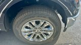 New 2025 Ford F150 XLT w/ Equipment Group 302A MID image 4