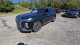 New 2025 Hyundai Palisade Calligraphy image 2