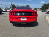 Used 2019 Ford Mustang Premium w/ Equipment Group 201A image 4