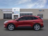 New 2025 Ford Escape ST-Line w/ Tech Pack #1 image 3