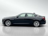 New 2026 Cadillac CT5 Premium Luxury w/ Technology Package image 4