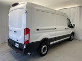New 2025 Ford Transit 250 148 Medium Roof w/ Load Area Protection Package image 2