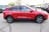 Used 2025 Ford Escape ST-Line Select image 5