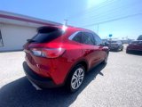 Used 2022 Ford Escape SEL image 5