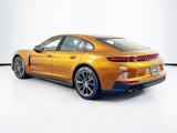 New 2025 Porsche Panamera image 3