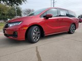 New 2026 Honda Odyssey Elite image 5