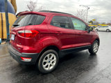 Used 2019 Ford EcoSport SE image 5