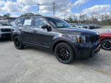 New 2025 Kia Telluride SX X-Line image 2