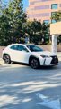 Used 2019 Lexus UX 200 F Sport image 2