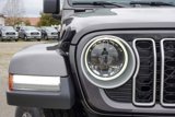 New 2025 Jeep Wrangler Sahara w/ Technology Group image 4