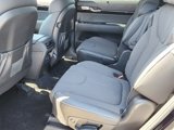 New 2025 Hyundai Palisade Calligraphy image 6
