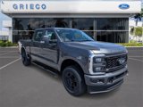 New 2025 Ford F250 XL image 2