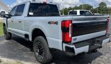 New 2025 Ford F250 Platinum image 6