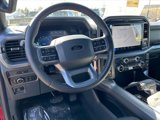 New 2025 Ford F150 XLT w/ Equipment Group 301A Standard image 5