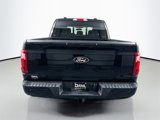 New 2025 Ford F150 XLT w/ Equipment Group 302A MID image 6