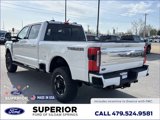 New 2025 Ford F250 Platinum image 6