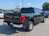 Used 2022 Ford F150 XLT w/ Equipment Group 301A Mid image 5