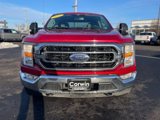 Certified 2022 Ford F150 XLT w/ Equipment Group 301A Mid image 6