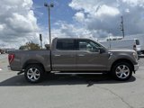 Used 2022 Ford F150 XLT w/ Equipment Group 302A High image 2
