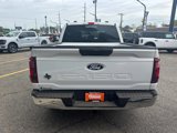 New 2025 Ford F150 XLT w/ Equipment Group 301A Standard image 5