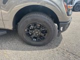 New 2025 Ford F150 STX w/ Equipment Group 201A FX4 image 3