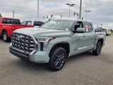 New 2025 Toyota Tundra Platinum image 3