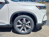 New 2025 Honda Pilot Touring image 6