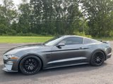 Used 2019 Ford Mustang GT Premium w/ GT Performance Package image 2
