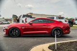 Used 2019 Ford Mustang GT image 5
