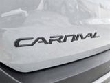 New 2026 Kia Carnival SX Prestige image 6