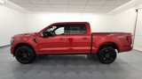 New 2025 Ford F150 Platinum w/ Equipment Group 702A High image 5