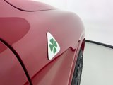 New 2024 Alfa Romeo Stelvio Quadrifoglio w/ Active Assist Plus Package image 6