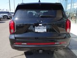 New 2025 Hyundai Palisade Calligraphy image 5