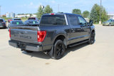 Used 2022 Ford F150 XLT w/ Equipment Group 302A High image 5