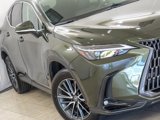 Certified 2025 Lexus NX 350 AWD image 6