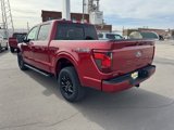 New 2025 Ford F150 XLT w/ Equipment Group 302A MID image 5