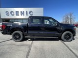 New 2025 Ford F150 Lariat image 4