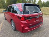 New 2026 Honda Odyssey Touring image 4