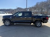 New 2025 Ford F150 XLT w/ Equipment Group 302A MID image 4