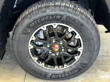 New 2025 Toyota Tundra SR5 w/ TRD Rally Package image 5